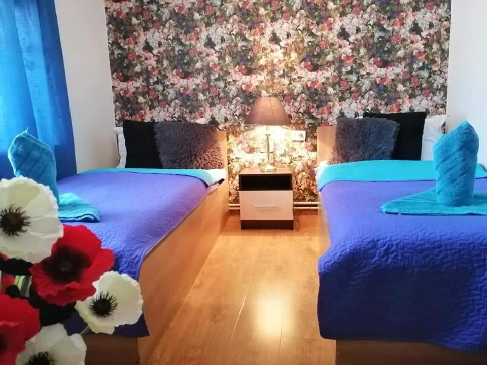 Casa Regala Ear Hotell Craiova Exteriör bild