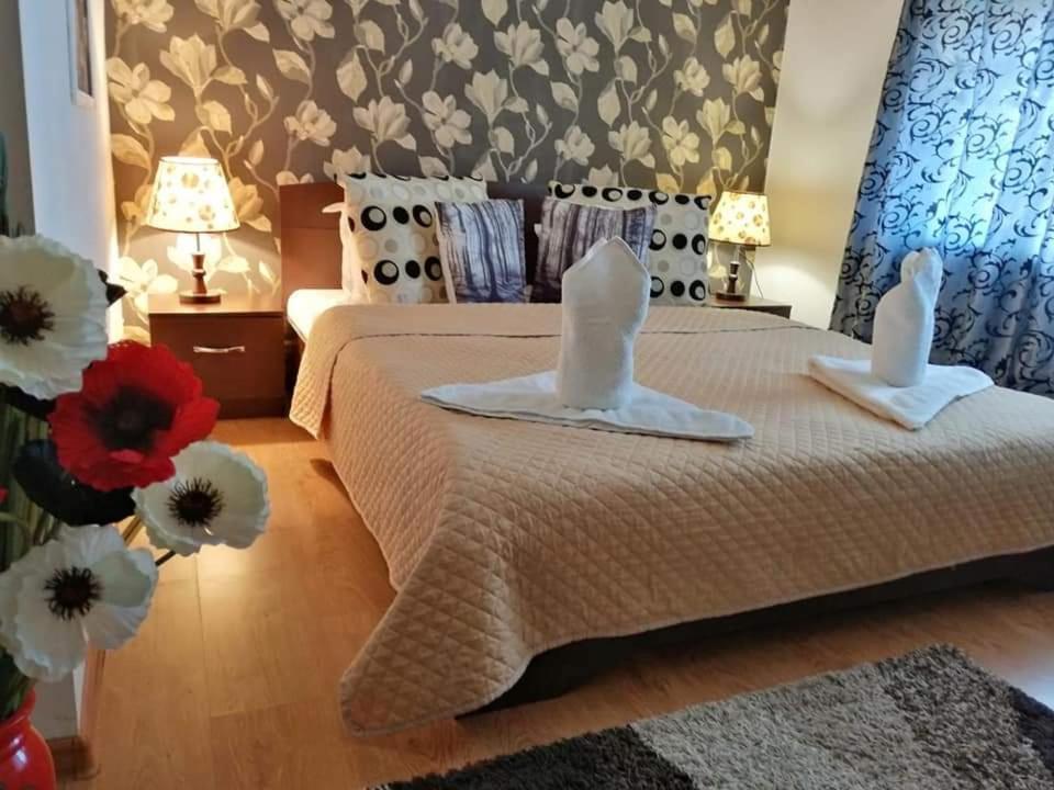 Casa Regala Ear Hotell Craiova Exteriör bild