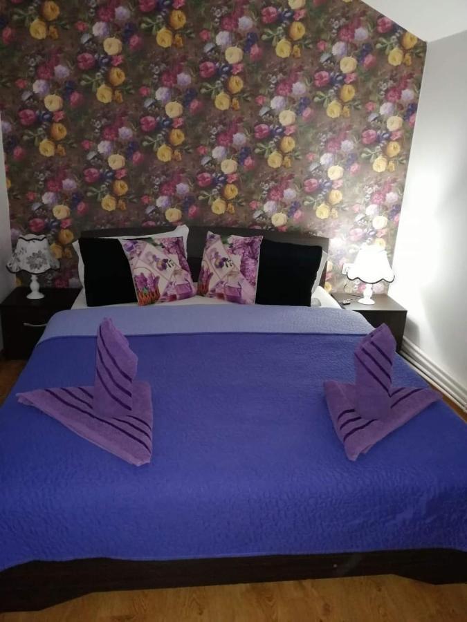 Casa Regala Ear Hotell Craiova Exteriör bild